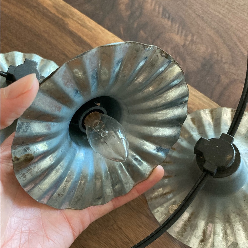 Anthropologie Galvanized String Lights